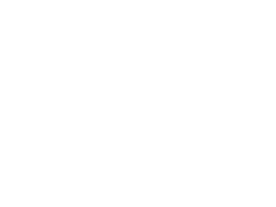 Elite Hotel & Spa Website